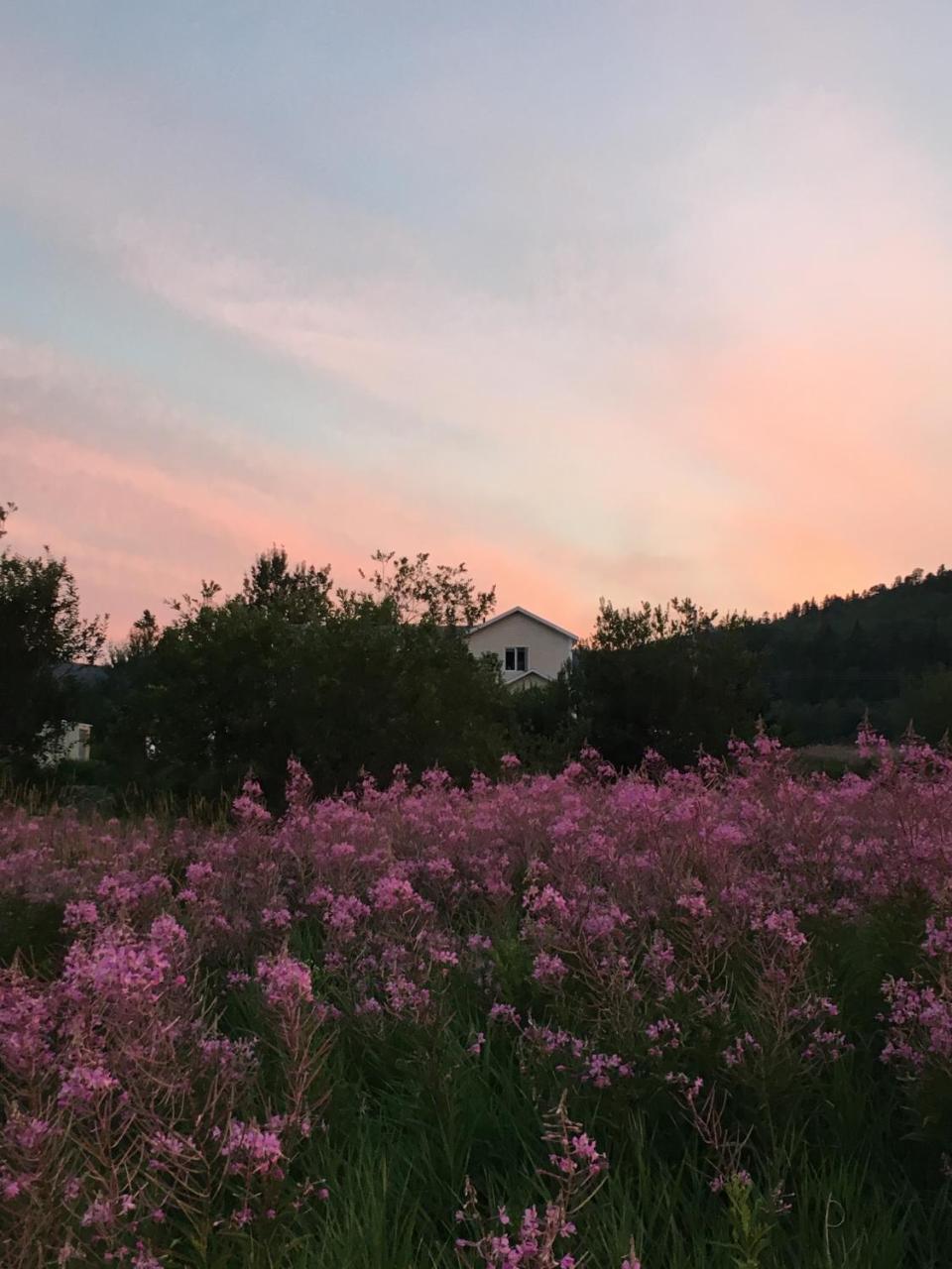La Chouette Viree Bed & Breakfast กรองส์-แบรเฌอรอนส์ ภายนอก รูปภาพ